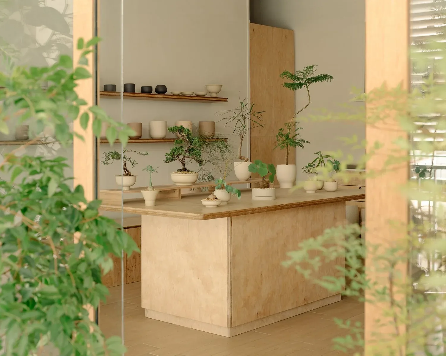 Soilboy Store by SNUG Woodwork