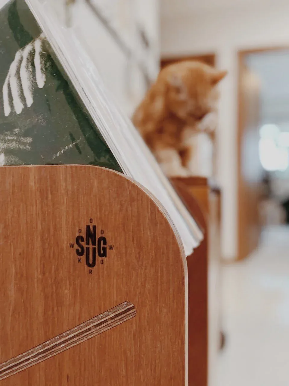 SNUG vinyl shelf
